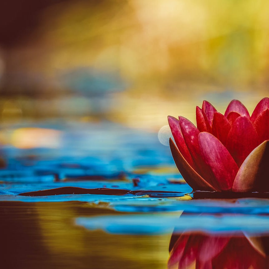 Meine Angebote: Meditation am Arbeitsplatz